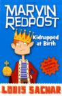 Kidnapped at Birth - Book
