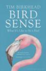 Bird Sense : What it's Like to be a Bird - Book