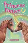 Princess Ponies 4: A Unicorn Adventure! - eBook