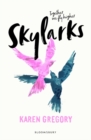 Skylarks - Book