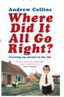 Where Did It All Go Right? : Growing Up Normal in the 70s - eBook