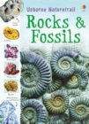 Rocks and Fossils - Book