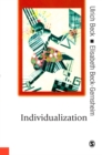 Individualization : Institutionalized Individualism and its Social and Political Consequences - eBook