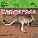 Kangaroos - eBook