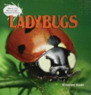 Ladybugs - eBook