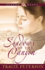 Shadows of the Canyon (Desert Roses Book #1) - eBook