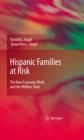 Hispanic Families at Risk : The New Economy, Work, and the Welfare State - eBook