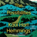 The Possibilities : A Novel - eAudiobook