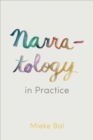 Narratology in Practice - eBook
