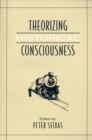Theorizing Historical Consciousness - eBook