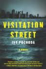 Visitation Street : A Novel - eBook