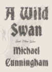 A Wild Swan : And Other Tales - eBook