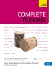 Complete Punjabi Beginner to Intermediate Course : (Book and audio support) - Book