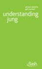 Understanding Jung: Flash - eBook