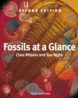 Fossils at a Glance - eBook