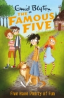 Five Have Plenty Of Fun : Book 14 - eBook