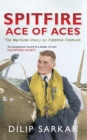 Spitfire Ace of Aces : The Wartime Story of Johnnie Johnson - eBook