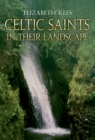 Celtic Saints In Their Landscape - eBook