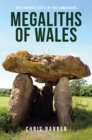 Megaliths of Wales : Mysterious Sites in the Landscape - eBook
