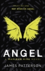 Angel: A Maximum Ride Novel : (Maximum Ride 7) - eBook