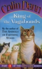 King Of The Vagabonds - eBook
