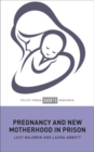 Pregnancy and New Motherhood in Prison - Book