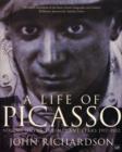 A Life Of Picasso Volume III : The Triumphant Years, 1917-1932 - eBook
