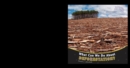 What Can We Do About Deforestation? - eBook