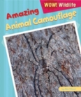 Amazing Animal Camouflage - eBook