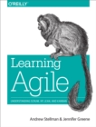 Learning Agile : Understanding Scrum, XP, Lean, and Kanban - eBook