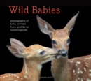 Wild Babies : Photographs of Baby Animals from Giraffes to Hummingbirds - eBook