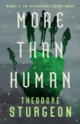 More Than Human - eBook