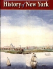 A Knickerbocker's History of New York - eBook