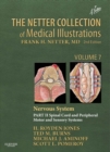 The Netter Collection of Medical Illustrations: Nervous System, Volume 7, Part II - Spinal Cord and Peripheral Motor and Sensory Systems - eBook