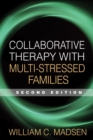Collaborative Therapy with Multi-Stressed Families, Second Edition - eBook