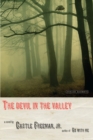 The Devil in the Valley : A Novel - eBook