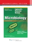 Microbiology - eBook