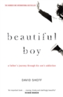 Beautiful Boy : A Father's Journey Through His Son's Addiction - Book