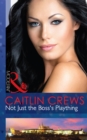 Not Just The Boss's Plaything - eBook