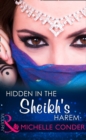 Hidden In The Sheikh's Harem - eBook