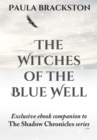 The Witches of the Blue Well : Thoughts on Writing The Winter Witch - eBook