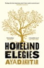 Homeland Elegies : A Barack Obama Favourite Book - eBook