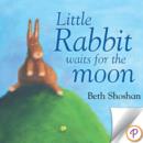 Little Rabbit Waits for the Moon - eBook