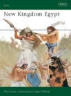 New Kingdom Egypt - eBook