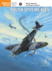 Polish Spitfire Aces - eBook