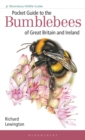 Pocket Guide to the Bumblebees of Great Britain and Ireland - Book