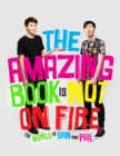 The Amazing Book is Not on Fire : The World of Dan and Phil - eBook