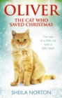 Oliver The Cat Who Saved Christmas - eBook