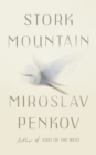 Stork Mountain - eBook