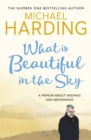 What is Beautiful in the Sky : A book about endings and beginnings - eBook